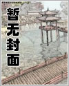 海贼王之海之使徒