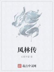 风林传